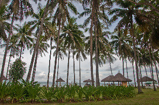 Crystal Paradise Resort